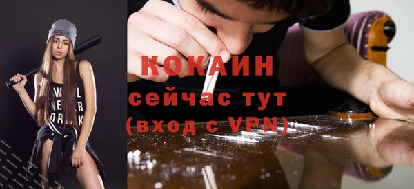 прущие крисы Вяземский