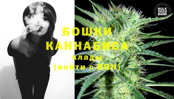 прущие крисы Вяземский
