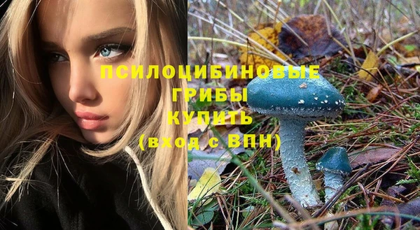 винт Володарск