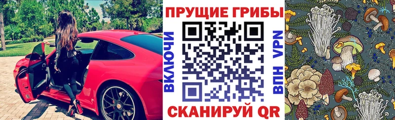 Галлюциногенные грибы прущие грибы  Магнитогорск 